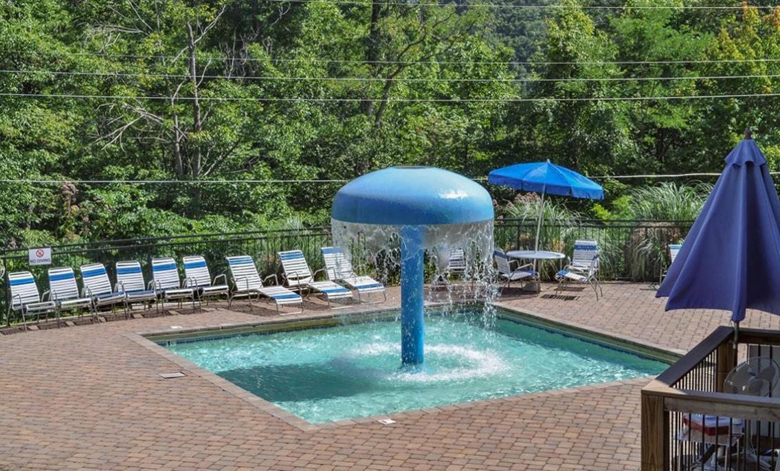 Chestnut Bearadise Villa Gatlinburg Exterior foto